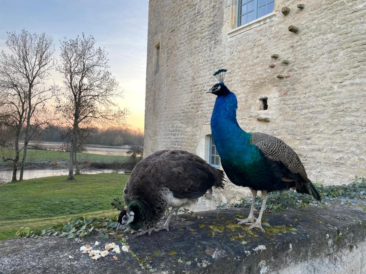 Un Chateau En Bourgogne Saincaize-Meauce Exterior foto